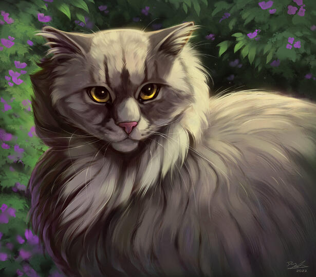 Portrait with simple background